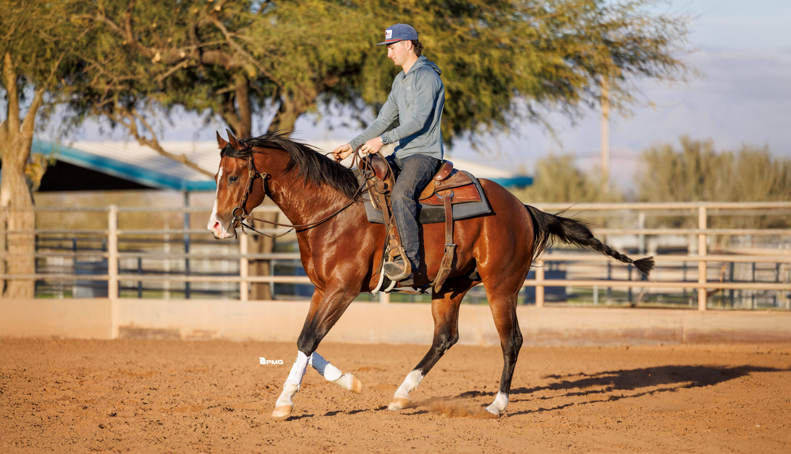 Training a horse that’s new to reining