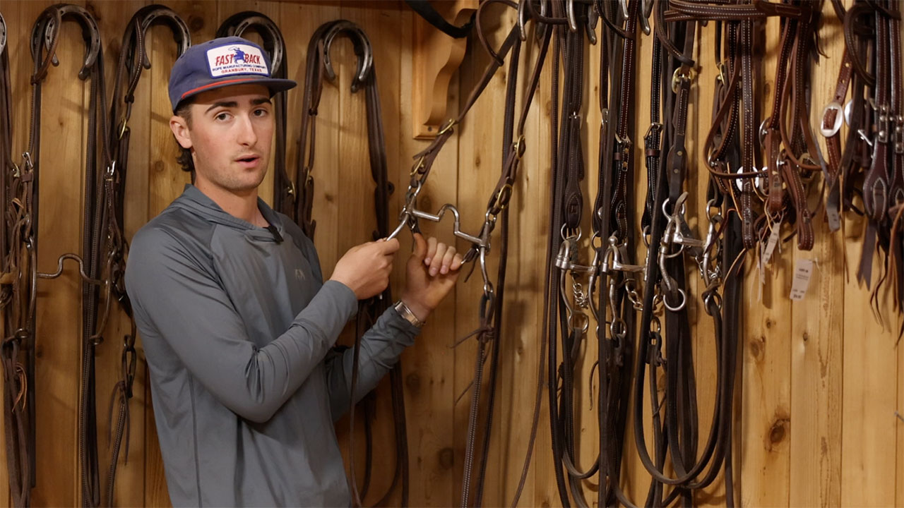 Updated in depth bridle collection