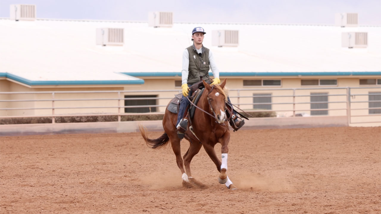 Lead changes, speed control, and turning