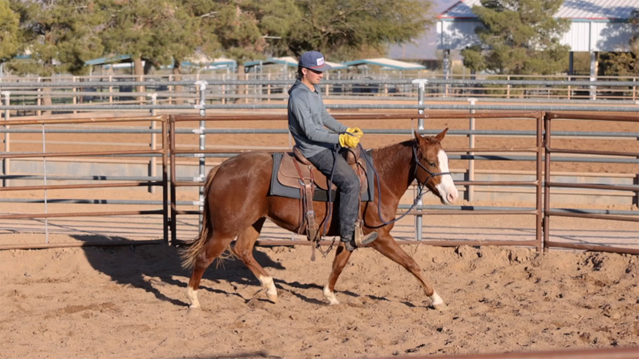 Second ride on a 2 year old