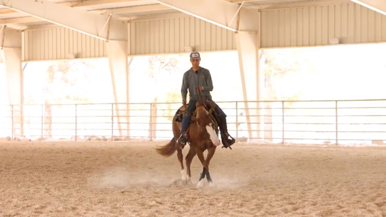 Stopping and turning a two year old 5 months into training