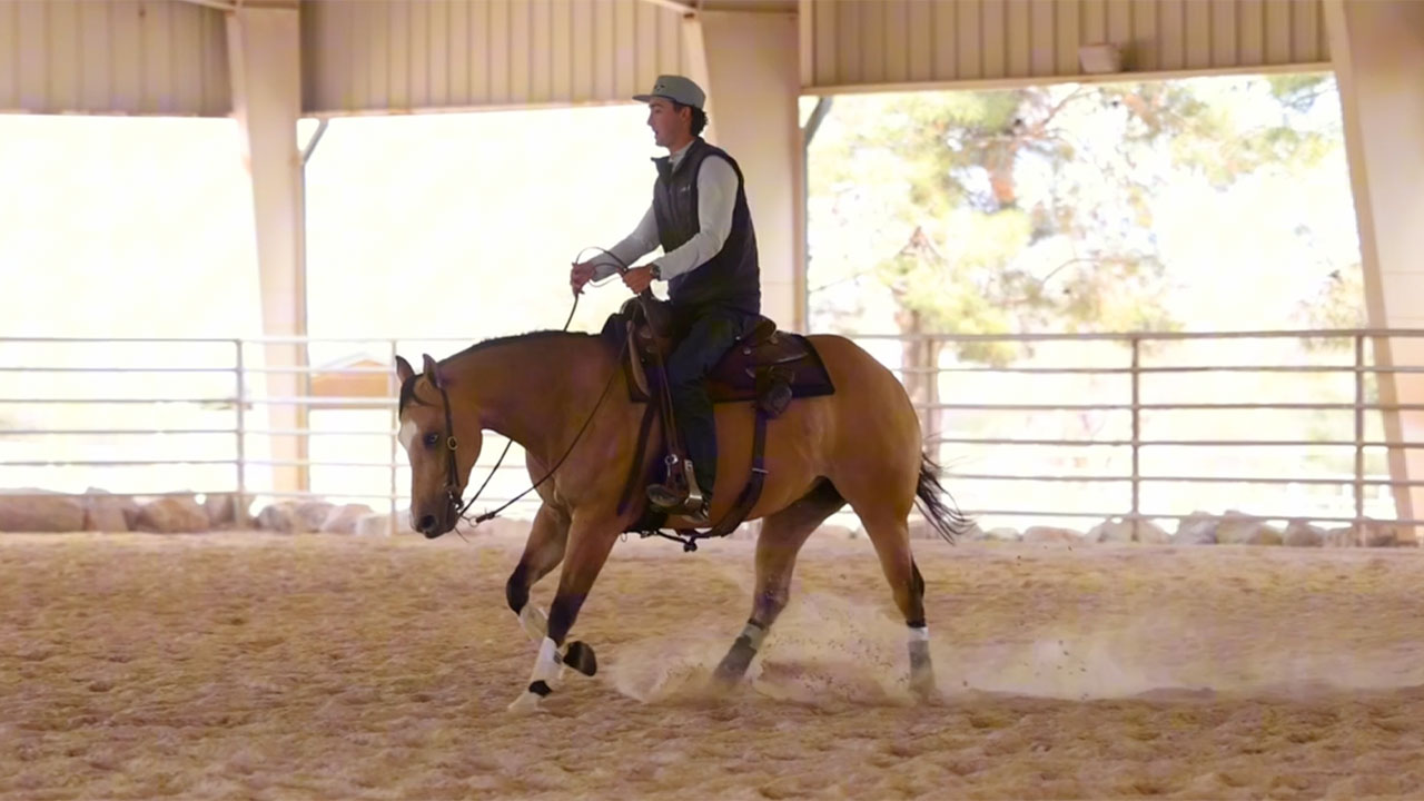 Refining the lead changes on a 3 year old