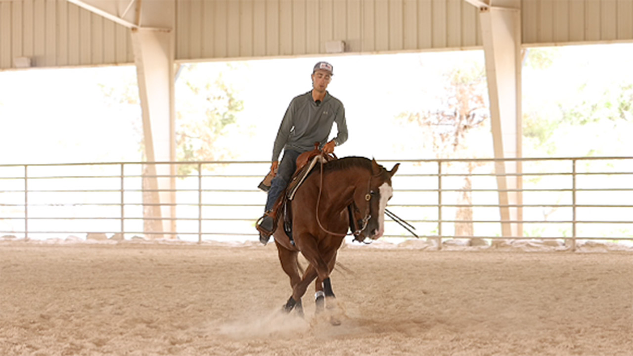 Ride a seasoned rookie horse with me
