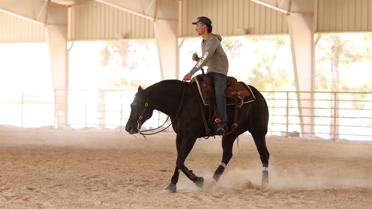 Schooling a non pro horse
