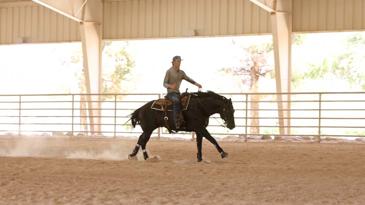 Practicing rundowns on a lazy horse
