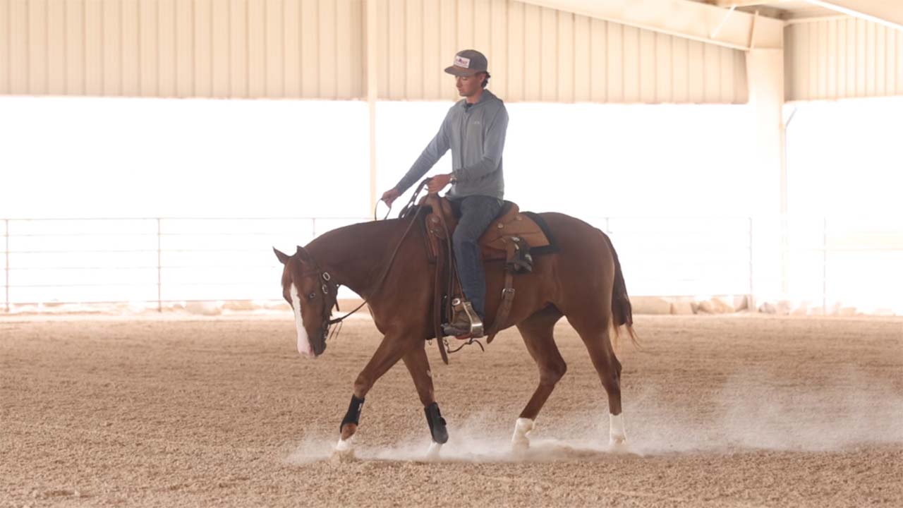 Getting a spooky horse to focus