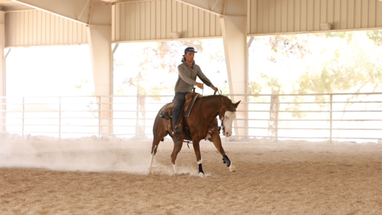 Working on the rundown and stop on a green horse
