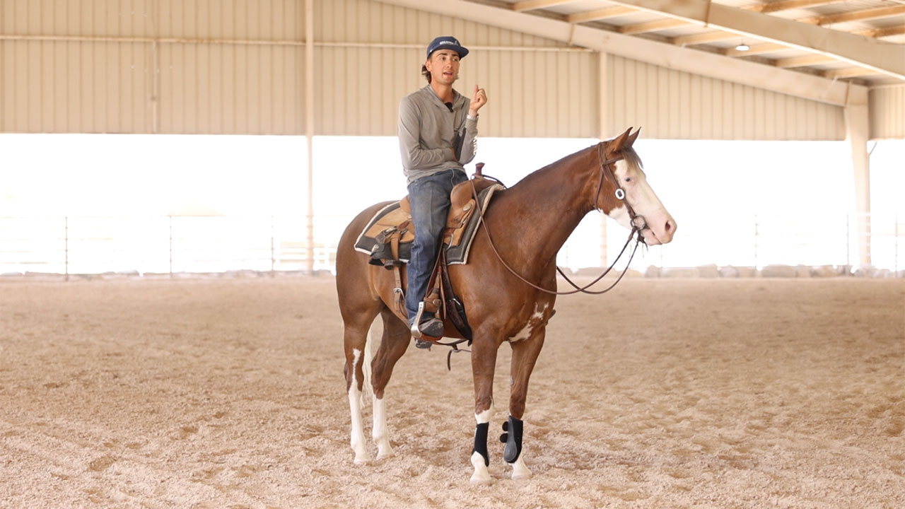 First time changing leads on a 4 year old