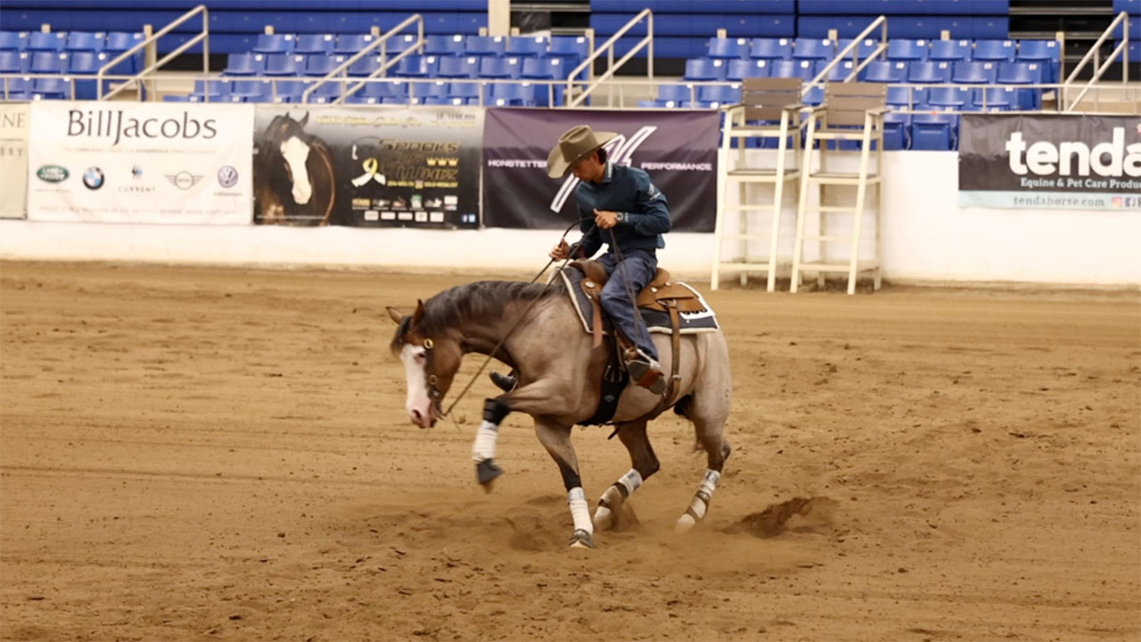 School a horse with me while focusing on the run downs