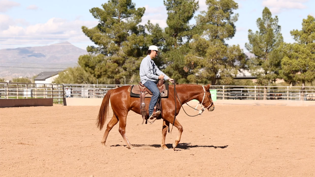 First ride in the big arena