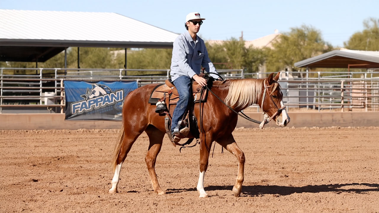 See how I put a 10th ride in the big arena on a 2 year old filly