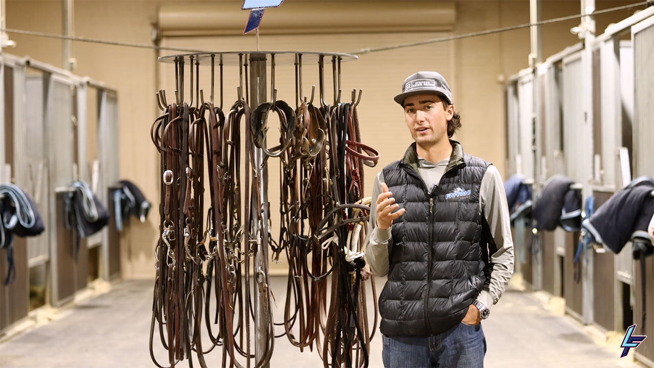 Updated bridles & equipment