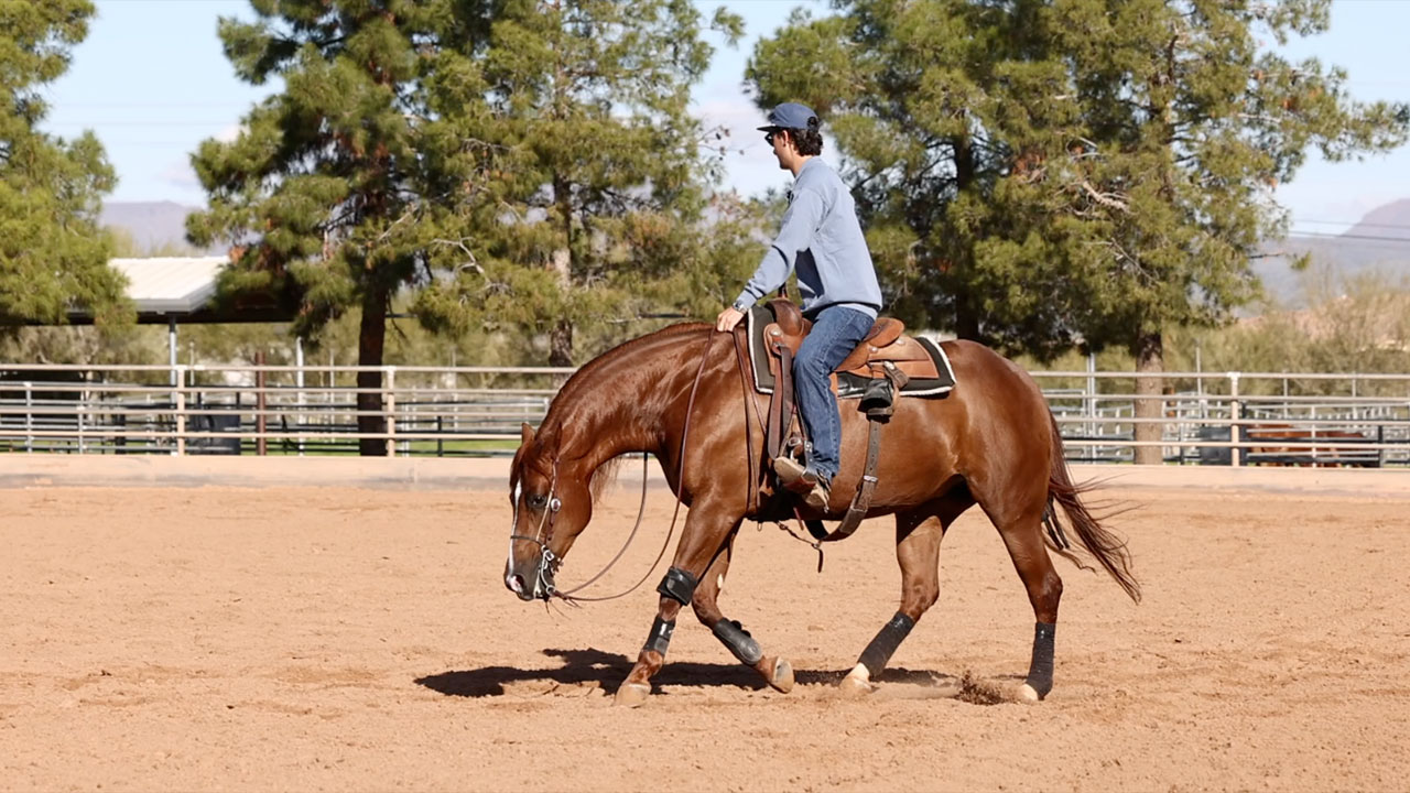 Circling a horse that leans in
