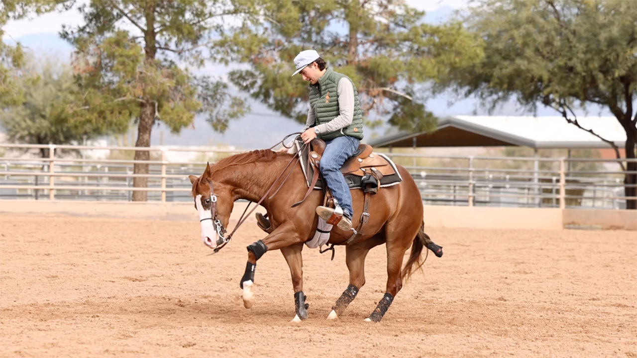 Three year old update — “Tulip”