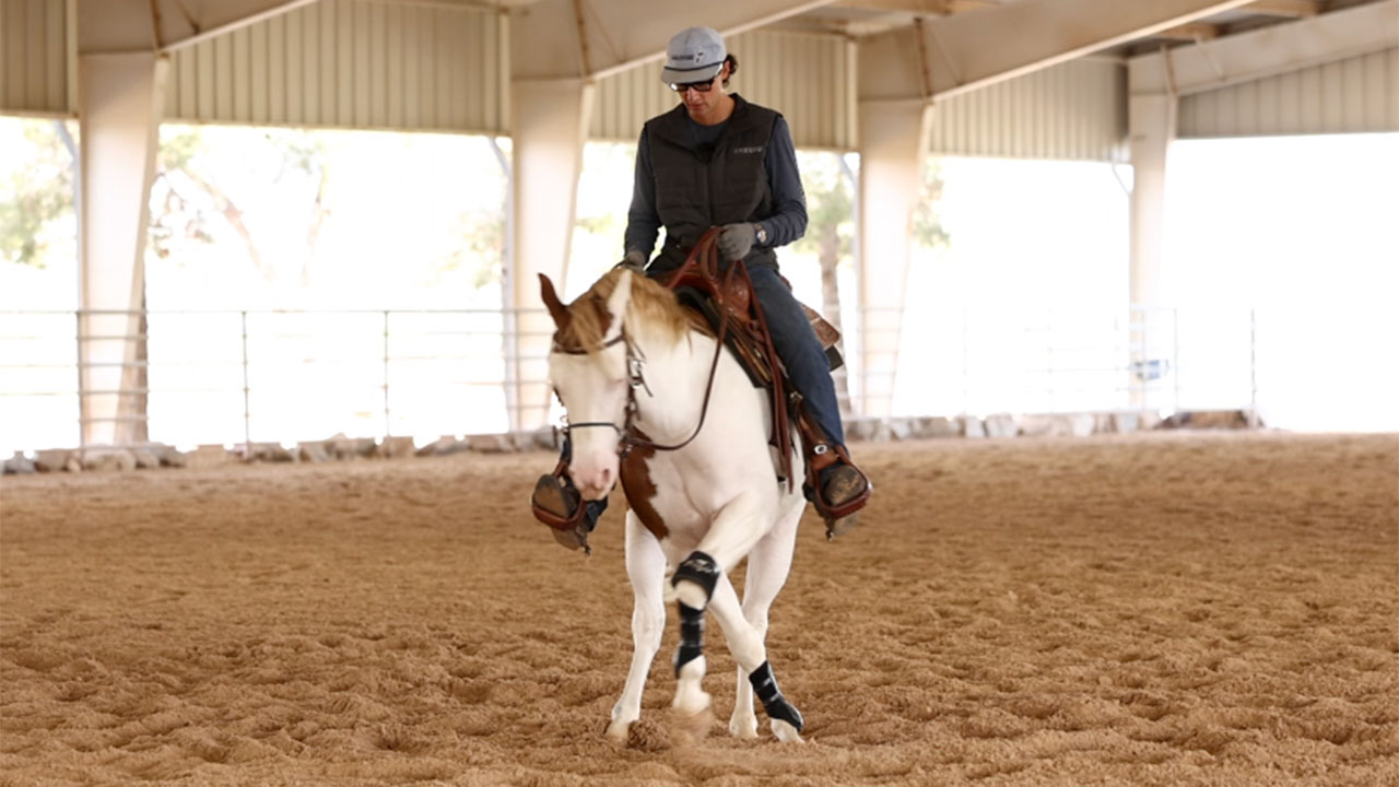 Turning a horse that has trouble staying in position & does not know the basics