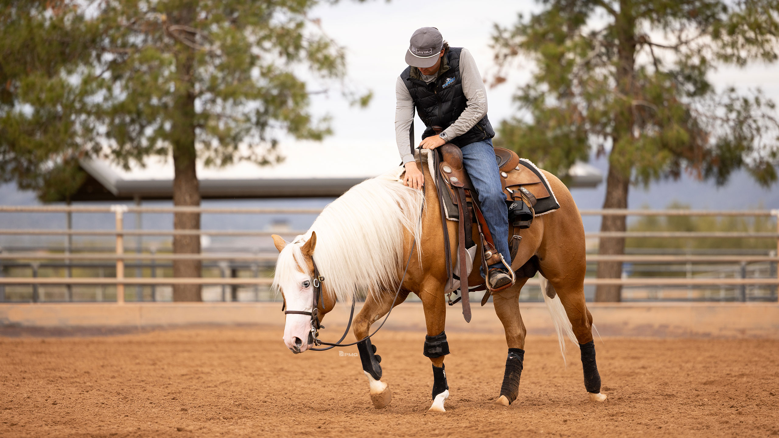 Warm up drill & fast circling on a 3 year old stallion