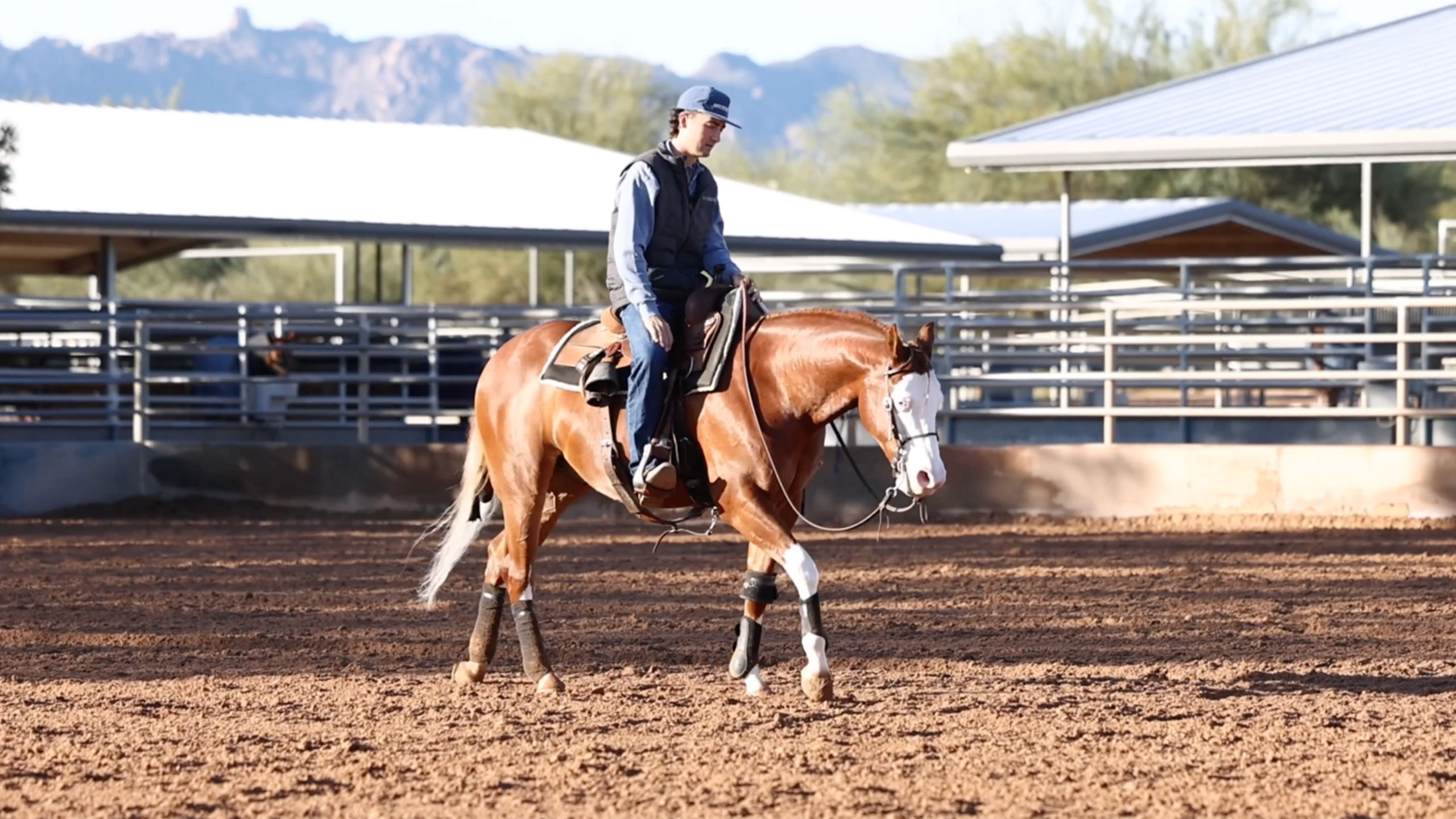 How to get a nervous horse to fence comfortably