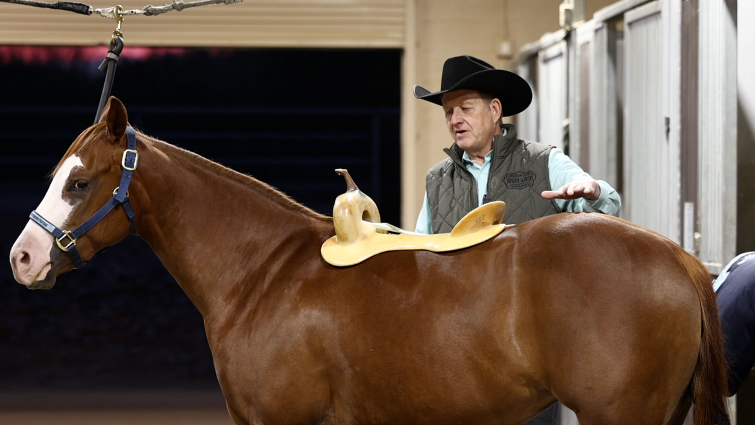 How to pick the proper saddle for your horse