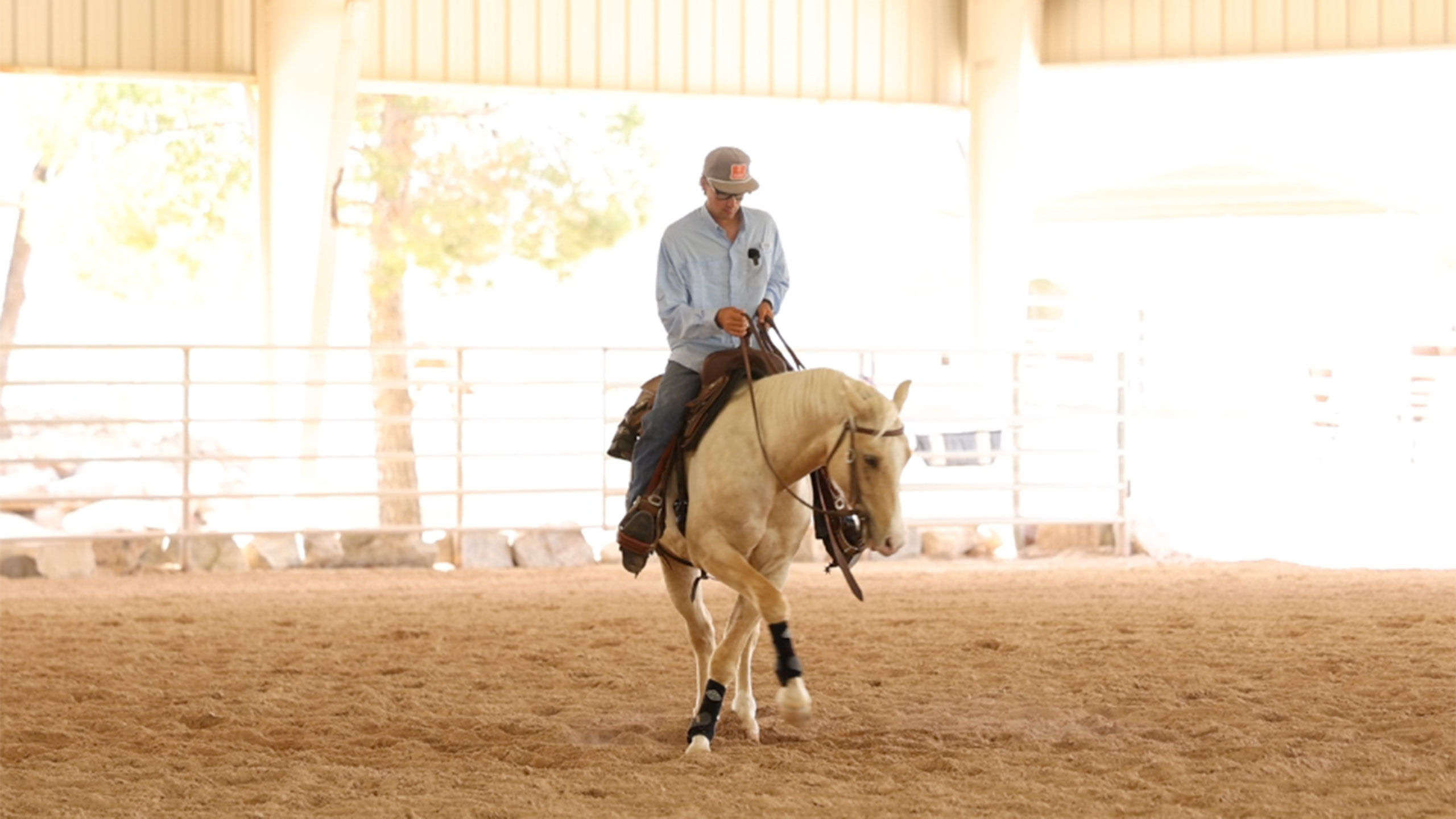 How to teach a horse to turn on its hind end