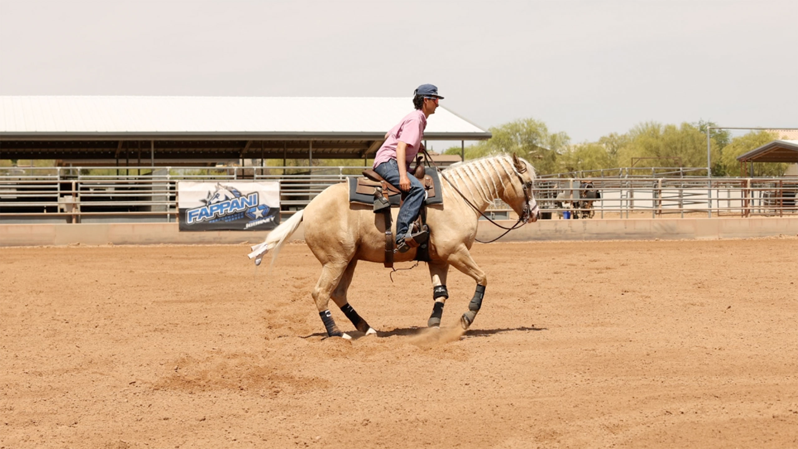My new rollback drill for my aged & show horses