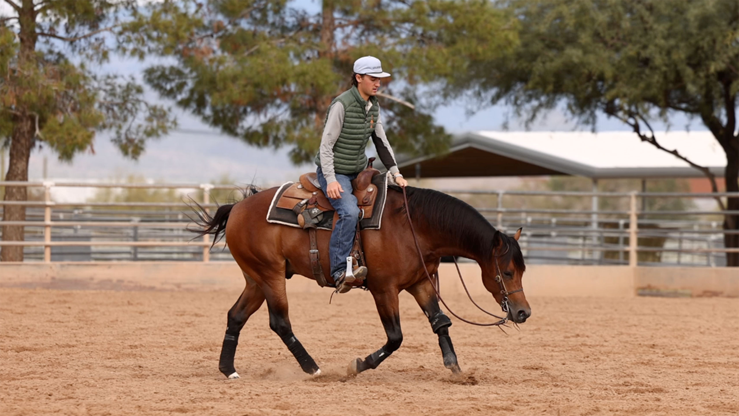 How I teach my horses to stay between the reins